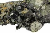 Black Andradite (Melanite) Garnet Cluster with Biotite - Morocco #107903-1